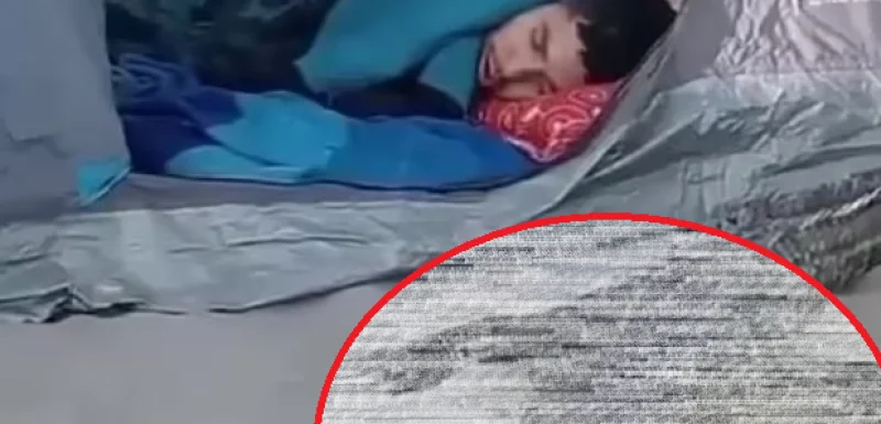 Турист легна да спи в палатката си на плажа, а до главата му се появи смъртна опасност ВИДЕО 3 1711878037 untitled