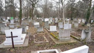 Пет грешки, които НЕ бива да правите, когато посещавате гробовете на близки! – 20 1200 434046487 263334133495504 366793302003754171 n