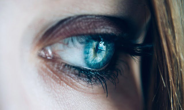 close up 1837213 640