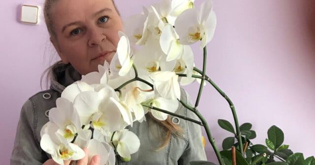 3 коварни грешки, които пречат на орхидеите да цъфтят през цялата година 3 коварни грешки, които пречат на орхидеите да цъфтят през цялата година