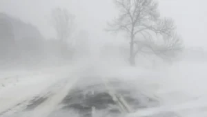 Meteo Balkans с прогноза за януари: Студ и мраз връхлитат страната след... 6 1735307660 screenshot 2024 12 27 at 15 54 10 petelbg novini stud i mraz obyaven e zhlt kod za niski temperaturi v 7 oblasti