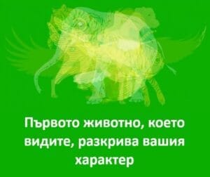 Първото животно което виждате разкрива нещо Интересно за Вас 11 472223114 640415058559418 8947189343482795006 n