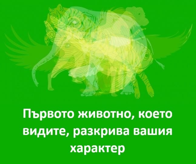 472223114 640415058559418 8947189343482795006 n