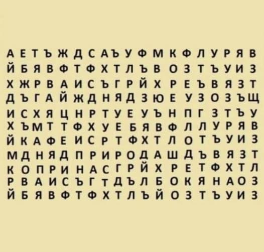 472761004 642525041681753 8511491267867403365 n