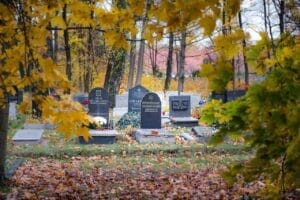 Всеки трябва да го знае! Ето какво се прави на рождения ден на починал роднина? 35 cemetery 4565810 1280