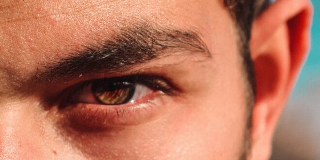 mazh 660x330 1