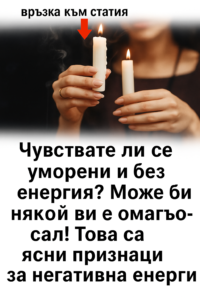 22f8a8bc 6d77 439a 861a e0b8b2afdd13