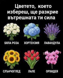 624847355 1200530368925288 6094738527460675004 n