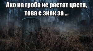 Ако на гроба не растат цветя, това е знак за … ⤵️ 14 632671177 122183486480593989 190074138673435176 n