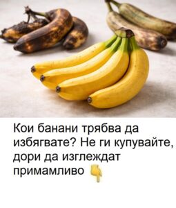 Кои банани трябва да избягвате? Не ги купувайте, дори да изглеждат примамливо. 😱 2 633924143 1584652426557735 2771576243154578602 n