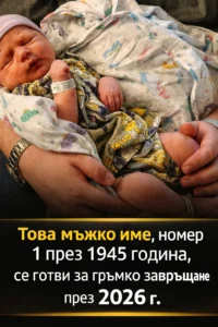task 01kgcekvwkehmva1893fh6y7ey 1769944574 img 0