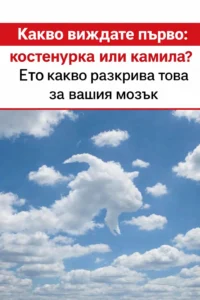 task 01kgcerk9ke1f9y0s2r2yzzj5j 1769944714 img 1