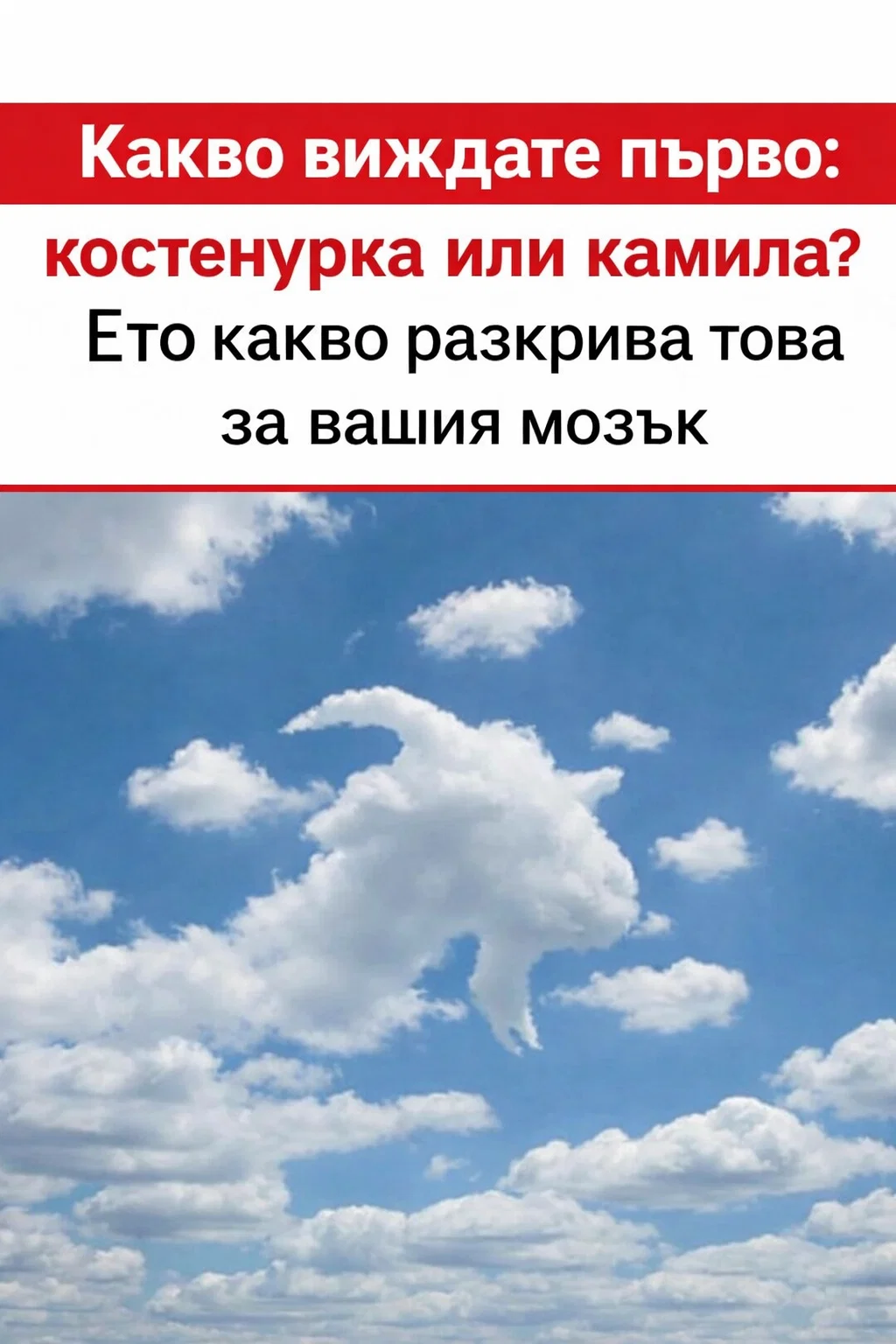 Вгледайте се добре – какво забелязвате първо: костенурка или камила? Отговорът ви може да разкрие много за начина, по който мислите… 👇👇👇 3 task 01kgcerk9ke1f9y0s2r2yzzj5j 1769944714 img 1
