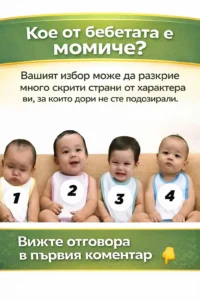 task 01kgcfe1erewvseg037cc9pjkw 1769945459 img 0