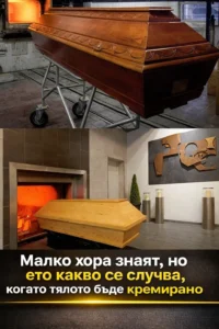 task 01kgcg2yx3fmqa2c1sd66ywb5c 1769946127 img 0