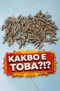 Открих на тавана на старата къща, която току-що купихме, цяло ведро, пълно с някакви странни метални предмети. Нямам представа какво са и за какво служат. Какво, по дяволите, може да е това? 👇 2 task 01kh19bcnxe6ba8qp7vnx3a9x5 1770643677 img 0