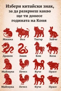 Изберете китайски зодиакален знак и разберете какво ще ви донесе Годината на Коня. Вижте първия коментар по-долу 👇 14 task 01kh8j8e19e58b7tknm6bxghp7 1770887938 img 0