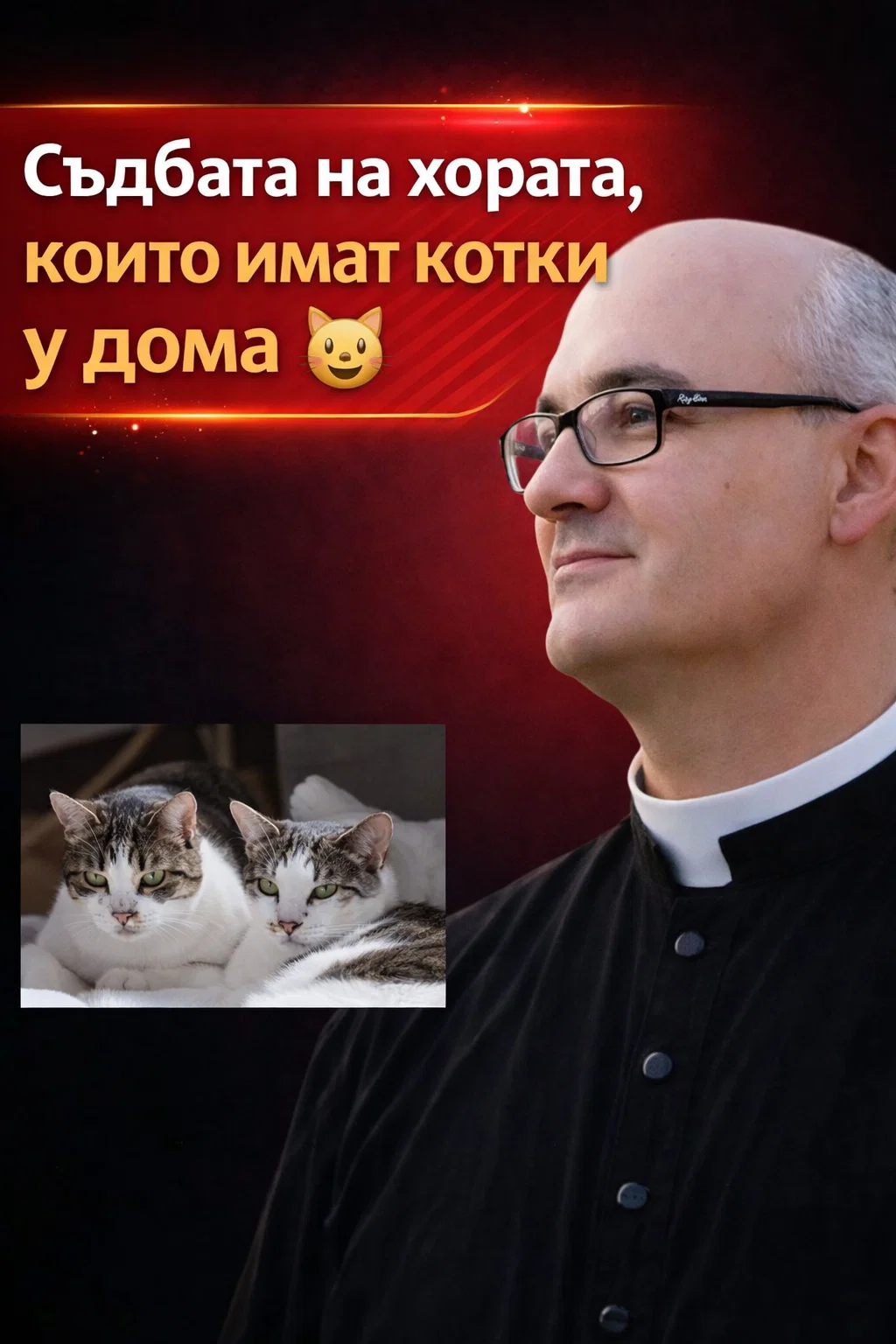 Свещеник Фортеа разкрива: Каква е участта на хората, които отглеждат котки у дома 🤔😱 Вижте повече по-долу 👇 3
