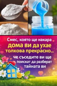 task 01kh8t6tp8f48arqs5bseh9g9k 1770896224 img 0