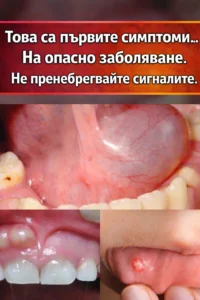 task 01khh304p0e7tb8y23kbtenyme 1771173887 img 0