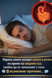 task 01khh359bjerqb51j0tt3ht5yx 1771174092 img 0