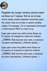 Първият ми съпруг почина, когато синът ми беше на 7 години. Той не ни остави почти нищо, освен огромен ипотечен дълг. Но освен това ни остави и своята злобна майка. Тя казваше: „Ти го ядосваше всеки ден“ и обвиняваше МЕН за смъртта му. 56 task 01khh3ks35ernajnd780djq925 1771174561 img 0
