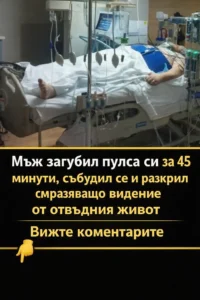 task 01khh3rqaqejc9jtcd7tv10bb2 1771174727 img 1