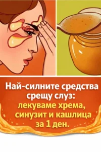 Най-ефективните средства срещу натрупана слуз: как да облекчим хрема, синузит и кашлица само за един ден. 44 task 01khxg1wh3exvs6rphf4tnqyhk 1771590223 img 0