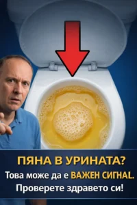 Пяната в урината може да бъде тревожен знак. 🤔🤯 Научете повече по темата. 44 task 01kj5k0btcfa1tbr4tc3vjddx8 1771861747 img 1