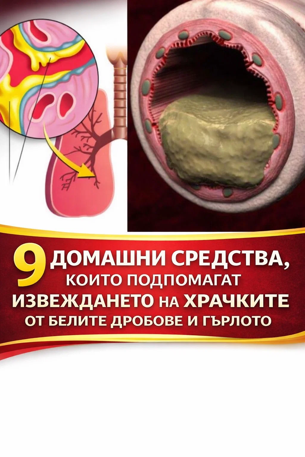 9 домашни средства, които могат да подпомогнат изчистването на храчките от белите дробове и гърлото 3