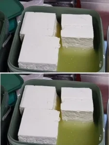 465990947 607747781825272 1932107058968891606 n.jpg