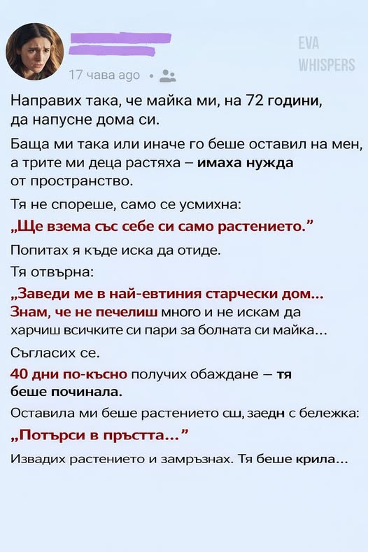 Направих така, че майка ми, на 72 години, да напусне дома си. Баща ми така или иначе го беше оставил на мен, а трите ми деца растяха – имаха нужда от пространство. 👇 3 615488701 122180664770593989 2883901270129673879 n 1
