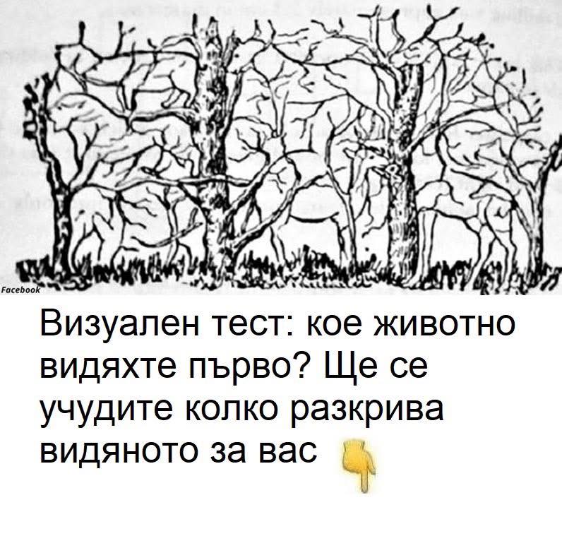 Визуален тест: кое животно видяхте първо? Ще се учудите колко разкрива видяното за вас. 😱 11 641518025 1378836137617336 5687571671828739386 n