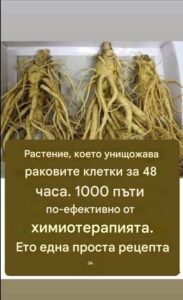 "Този корен убива 98% от раковите заболявания на стомаха, дебелото черво, панкреаса и 👇👇" 8 646377184 122121404463143413 1120481594202386662 n