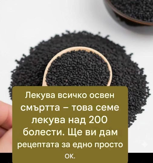 Вижте мощното семе, което лекува всичко освен смъртта! Не го пропускайте! 3 646832766 122099177439167954 2219055858122247966 n