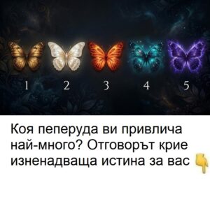 651412778 1607498340939810 2362651978820363499 n