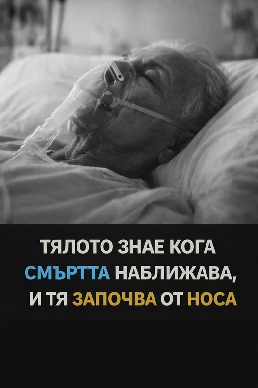 Тялото знае кога смъртта наближава — и тя започва от носа 👇 3 657812551 1257809856482031 5733369371144336773 n