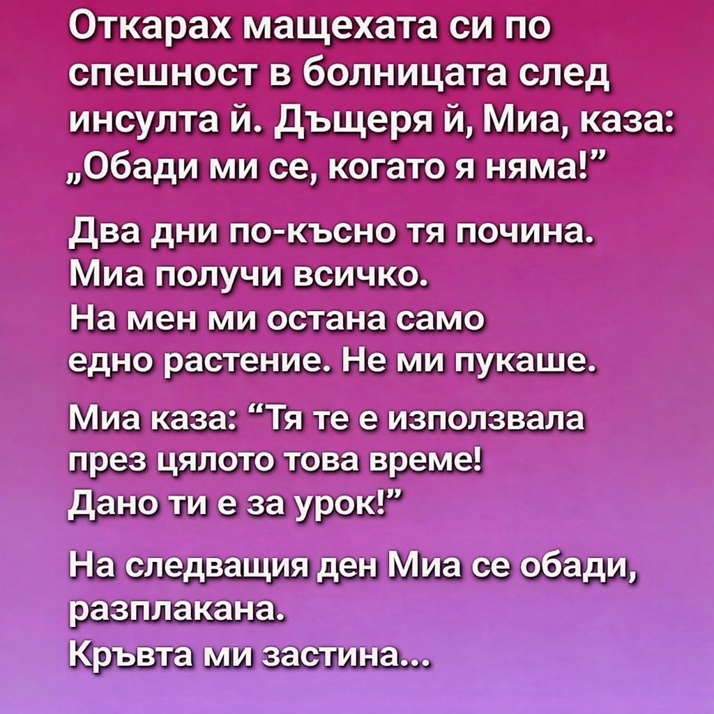 Откарах мащехата си по спешност в болницата след инсулта ѝ. Дъщеря ѝ, Миа, каза: 👇 3 bc8d31a2 7aa3 4f8b 94cb 2c5d5b72f4c6