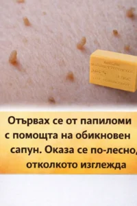 task 01kdqwcrd7ft8sh73p3erav00v 1767106898 img 1