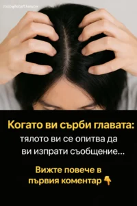 task 01ke04e9n5e8rsy5hbpej4d2qw 1767383769 img 0