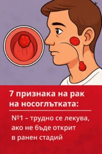 task 01ke04tv9xf8p99sgvmezy2cg3 1767384186 img 1