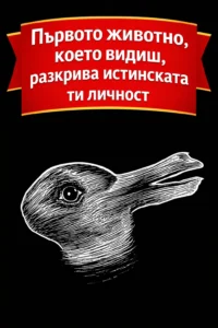 Повечето хора забелязват различно животно още от първия поглед… а тълкуването зад това е изненадващо точно. 52 task 01ke74nc2pfz79ppfftnewf3ty 1767618876 img 1