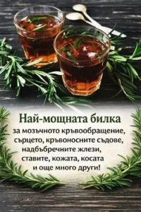 Изключително силна билка за подпомагане на мозъчното кръвообращение, сърцето и кръвоносните съдове, надбъбречните жлези, ставите, кожата, косата и още много други 👇👇👇 32 task 01kfxer8awe478gyqfghae5v8g 1769441464 img 0