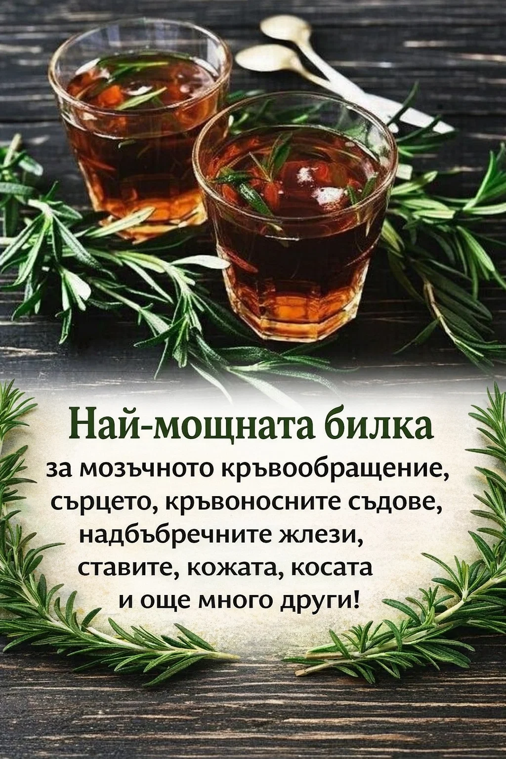 Изключително силна билка за подпомагане на мозъчното кръвообращение, сърцето и кръвоносните съдове, надбъбречните жлези, ставите, кожата, косата и още много други 👇👇👇 11