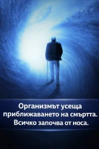 Вашето тяло може да долови наближаването на края. Според някои изследвания всичко започва с промени в обонянието и носната кухина. 38 task 01kjsh3vcaftzbfkqybvmpjkgy 1772530853 img 1