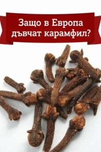 99% от хората НЕ ЗНАЯТ: ако след 50-годишна възраст дъвчете по 2 карамфилчета на ден, може дори да се освободите от този проблем… 54 task 01kkbf5y9aftva02vdwjpkvdsm 1773132807 img 0