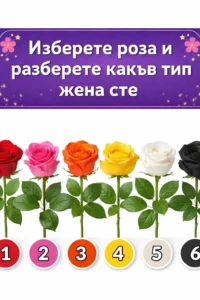 Изберете роза и открийте какъв тип жена сте. Проверете резултата 👇👇 2 task 01kkbfvd96f8sr5t1pdp8kzzvt 1773133514 img 0