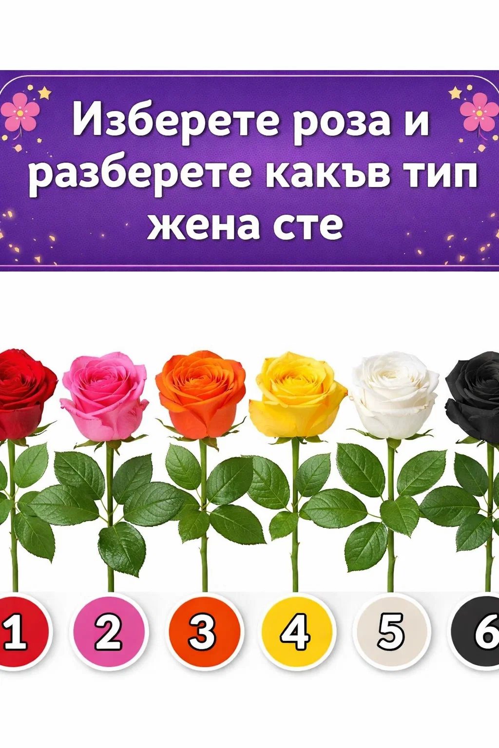 Изберете роза и открийте какъв тип жена сте. Проверете резултата 👇👇 3 task 01kkbfvd96f8sr5t1pdp8kzzvt 1773133514 img 0