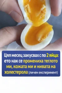 task 01kkbrrj0jf24rx33dzf5etta0 1773142862 img 0