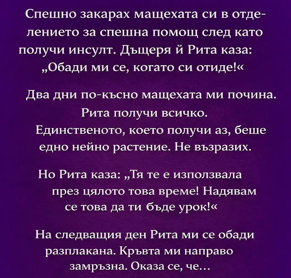 Спешно закарах мащехата си в отделението за спешна помощ след като получи инсулт. Дъщеря ѝ Рита каза: „Обади ми се, когато си отиде!“ 3